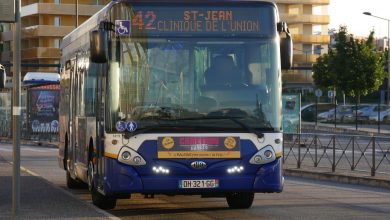 Mobilité : photographie d'un bus, à Toulouse (ligne 42).